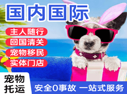 喀什航空运输国际宠物托运 【国